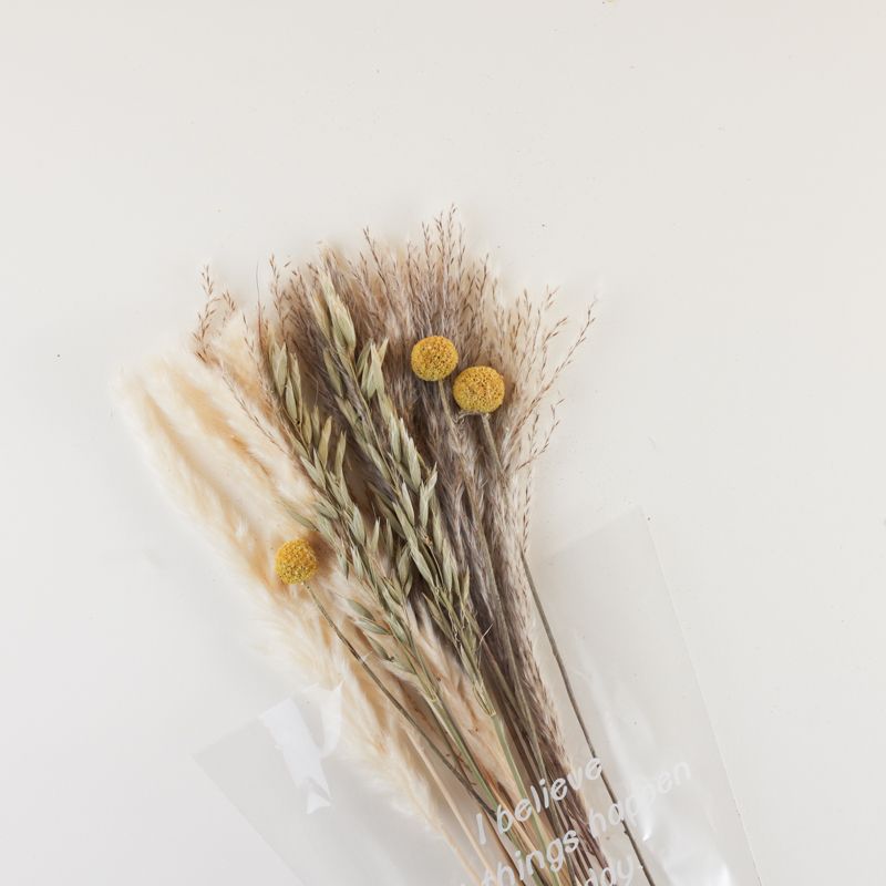 Dried flower 6